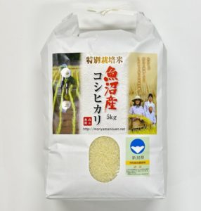 森山農園特別栽培米魚沼産コシヒカリ