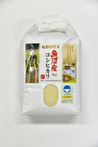 森山農園特別栽培米魚沼産コシヒカリ