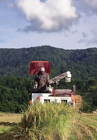 多田勝也の作る魚沼長鳥産こしひかり