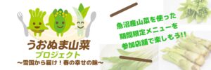 山菜プロジェクト画像