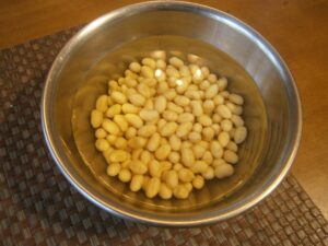 大豆